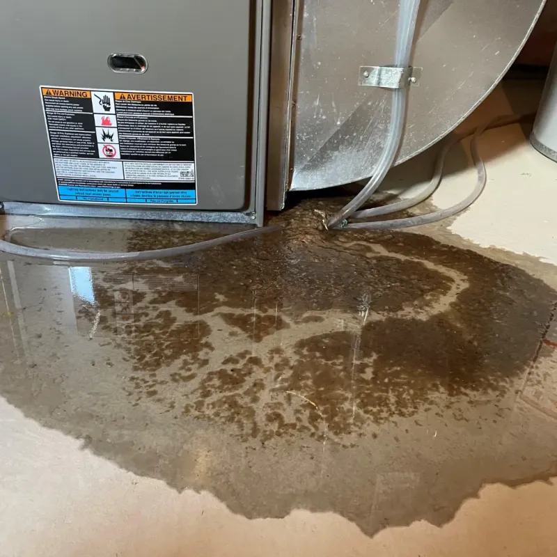 Appliance Leak Cleanup in Syracuse, NE